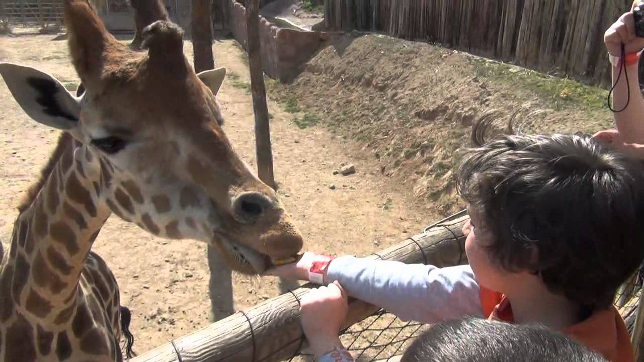 Аквапарк Зоопарк в Мурсии