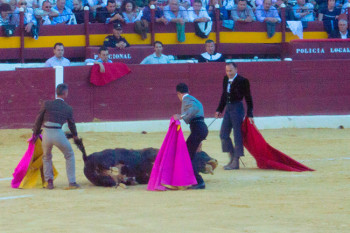 Коррида в Испании, неправильные фотографии (10)