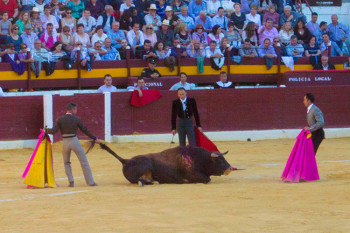 Коррида в Испании, неправильные фотографии (11)