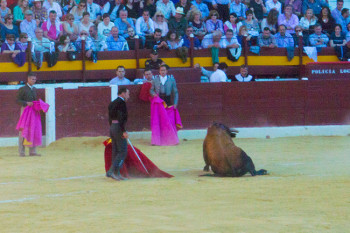 Коррида в Испании, неправильные фотографии (12)