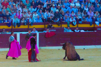Коррида в Испании, неправильные фотографии (15)