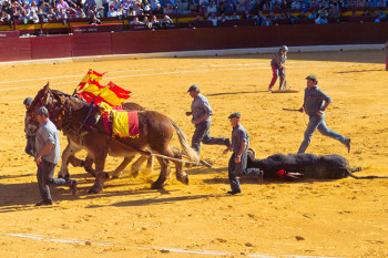 Коррида в Испании, неправильные фотографии (4)