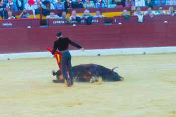 Коррида в Испании, неправильные фотографии (5)